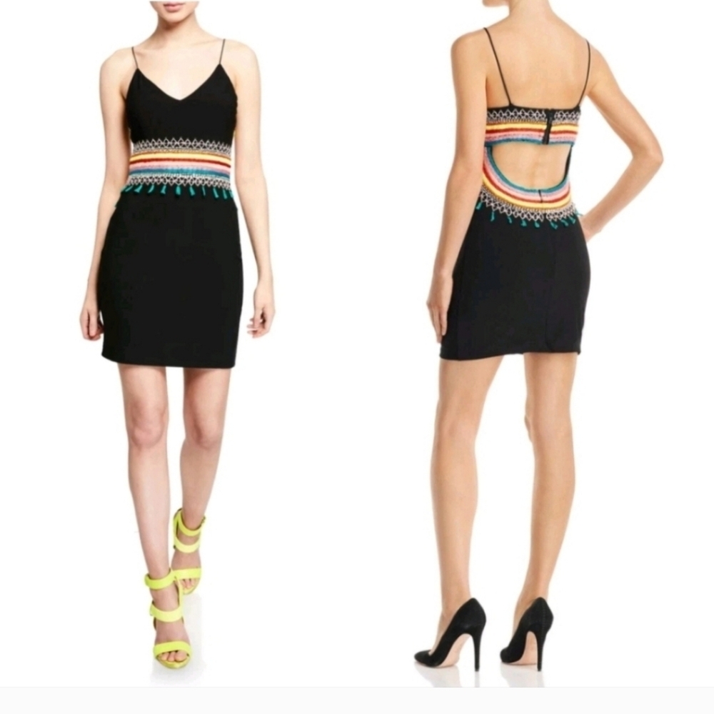 Alice + Olivia Loralee Embroidered Mini Dress  size 8